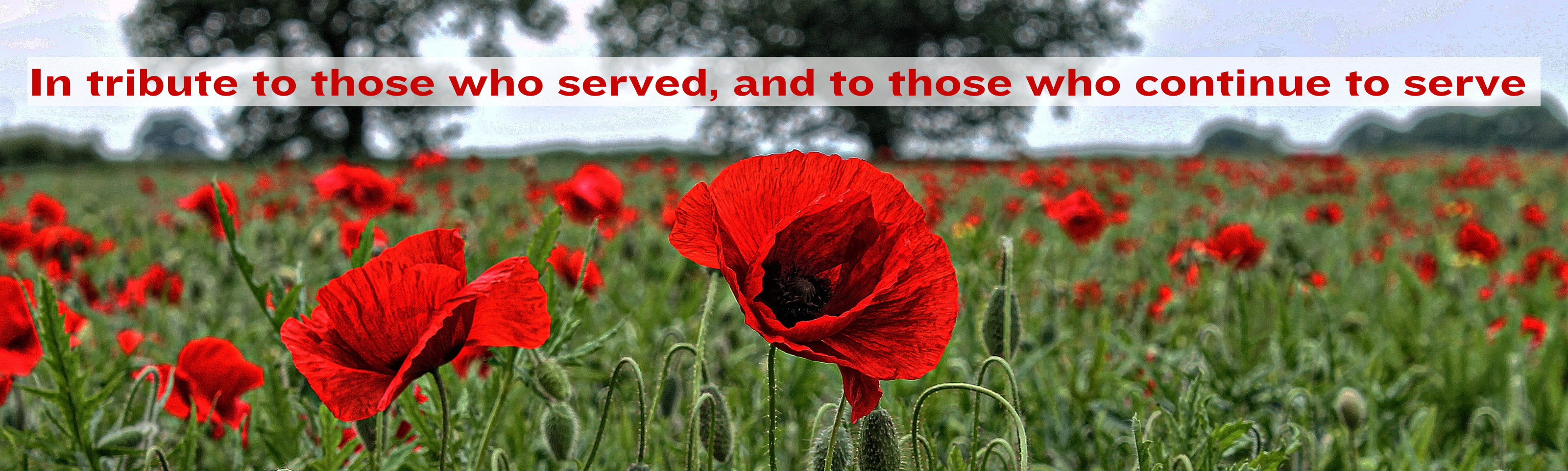 Remembrance Day - StuntList