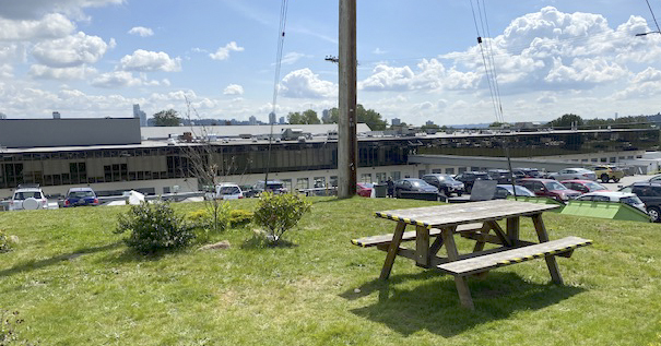 Picnic Table Mammoth Studio