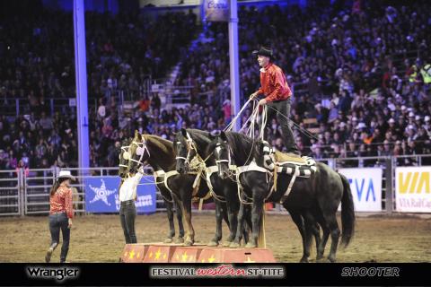 4 Horse Roman Riding - all up on the pedestal