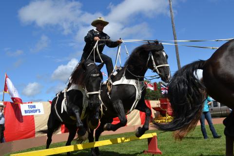 4 Horse Roman Riding