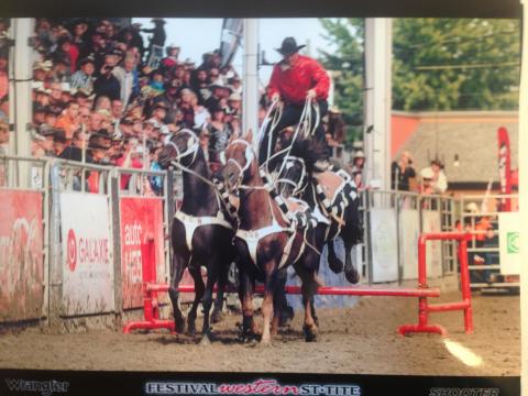 4 Horse Roman Riding St Tite Western Fest