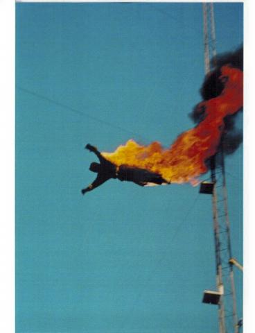 Carolyn Anderson FIRE DIVE