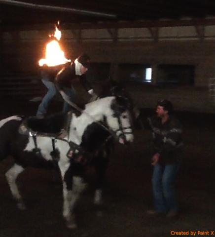 Fire Horse