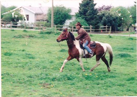 Horseback Riding