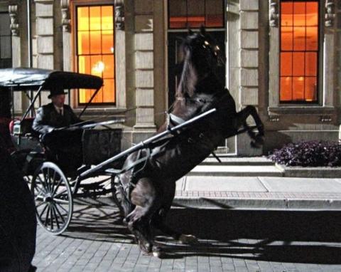 Rearing horse on carriage tv episode 