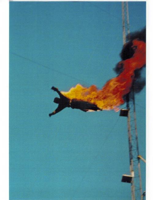 Carolyn Anderson FIRE DIVE