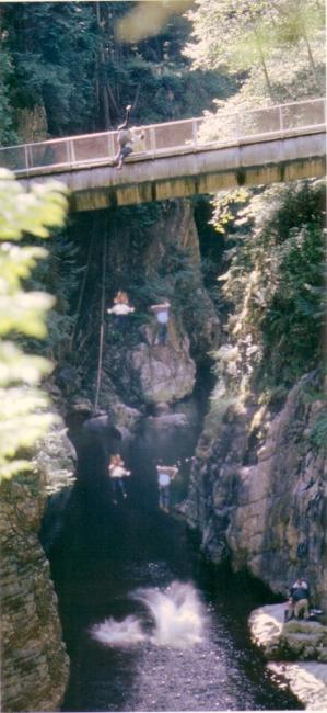 Capilano Pipe Bridge - \"Cloned\"