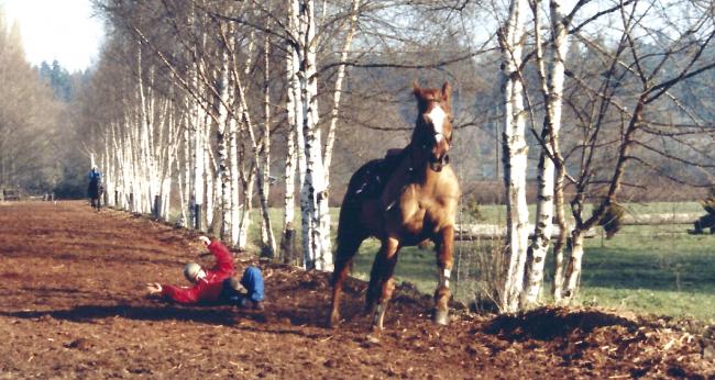 Fall from galloping race horse