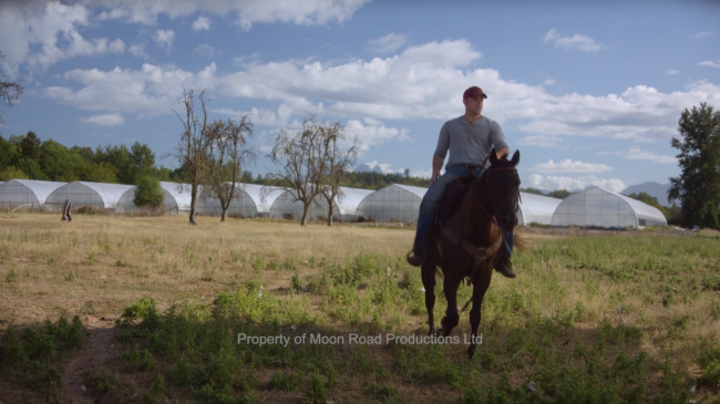 jesse Hutch Horse Riding