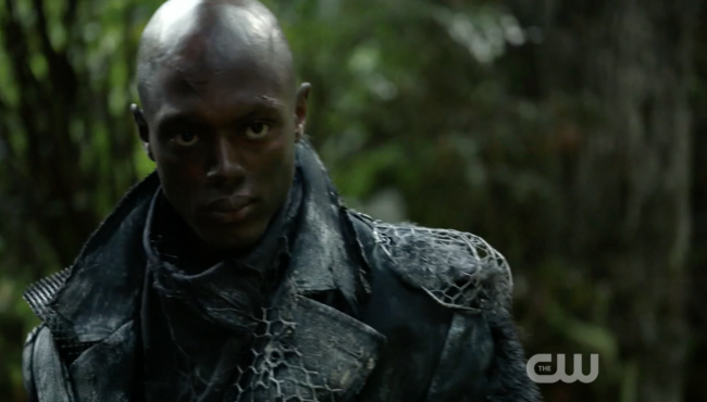 Polis Sentury (The 100)