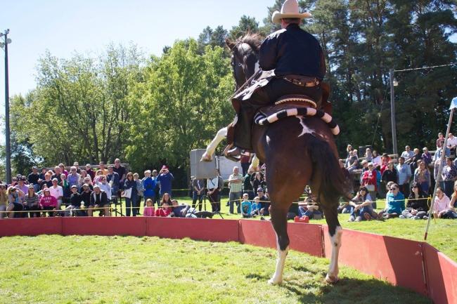 Rearing horse trained horse act