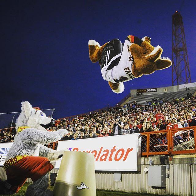 Stadium backflip