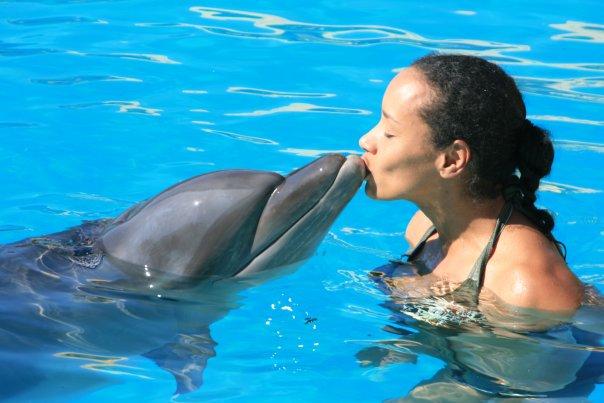 Swimming with Dolphins 